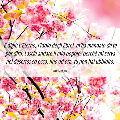 Picture 06 - Esodo 7:16 RIV - E digli: L’Eterno, l’Iddio degli Ebrei, - Bible Verse Picture