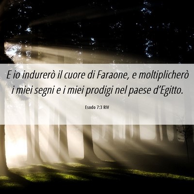 Picture 06 - Esodo 7:3 RIV - E io indurerò il cuore di Faraone, e - Bible Verse Picture