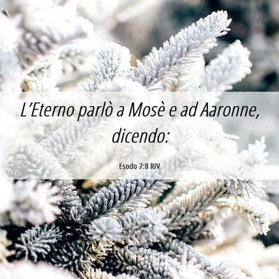 Picture 06 - Esodo 7:8 RIV - L’Eterno parlò a Mosè e ad Aaronne, - Bible Verse Picture