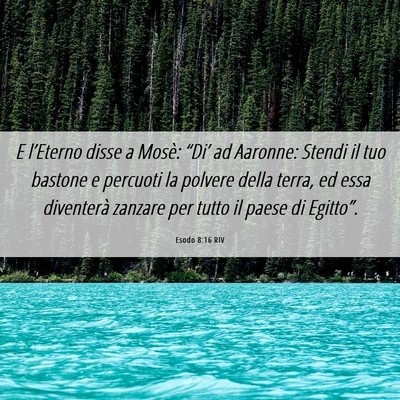 Picture 06 - Esodo 8:16 RIV - E l’Eterno disse a Mosè: “Di’ ad Aaronne: - Bible Verse Picture
