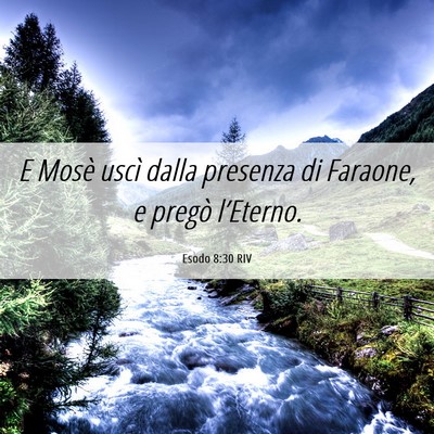 Picture 06 - Esodo 8:30 RIV - E Mosè uscì dalla presenza di Faraone, e pregò - Bible Verse Picture