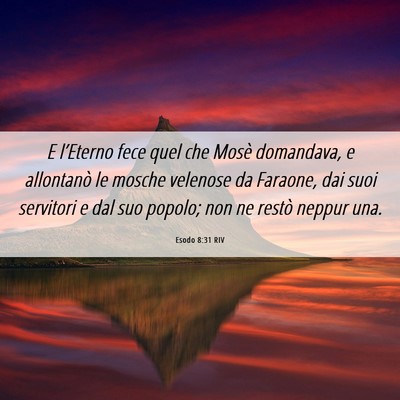 Picture 06 - Esodo 8:31 RIV - E l’Eterno fece quel che Mosè domandava, e - Bible Verse Picture