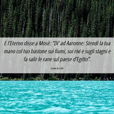 Picture 06 - Esodo 8:5 RIV - E l’Eterno disse a Mosè: “Di’ ad Aaronne: - Bible Verse Picture