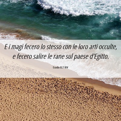 Picture 06 - Esodo 8:7 RIV - E i magi fecero lo stesso con le loro arti - Bible Verse Picture