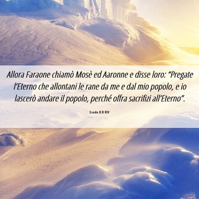Picture 06 - Esodo 8:8 RIV - Allora Faraone chiamò Mosè ed Aaronne e disse - Bible Verse Picture