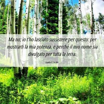 Picture 06 - Esodo 9:16 RIV - Ma no; io t’ho lasciato sussistere per questo: - Bible Verse Picture