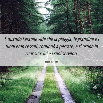 Picture 06 - Esodo 9:34 RIV - E quando Faraone vide che la pioggia, la grandine - Bible Verse Picture