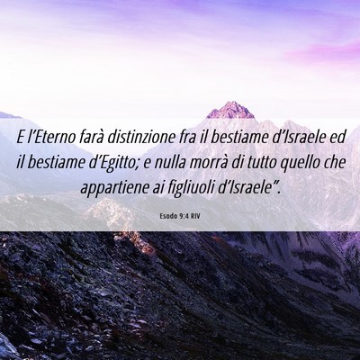 Picture 06 - Esodo 9:4 RIV - E l’Eterno farà distinzione fra il bestiame - Bible Verse Picture