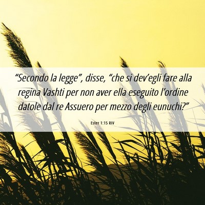 Picture 06 - Ester 1:15 RIV - “Secondo la legge”, disse, “che si - Bible Verse Picture