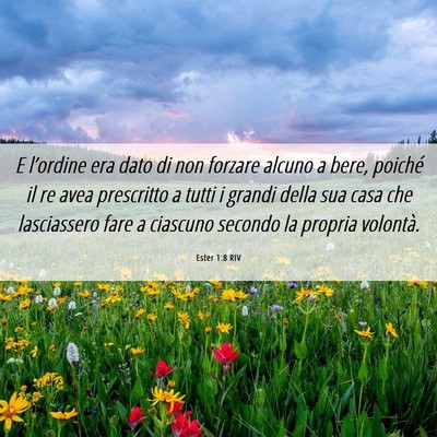 Picture 06 - Ester 1:8 RIV - E l’ordine era dato di non forzare alcuno a - Bible Verse Picture
