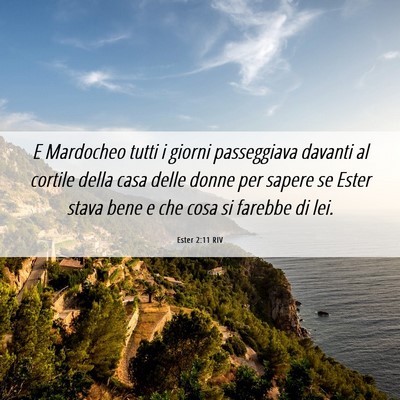 Picture 06 - Ester 2:11 RIV - E Mardocheo tutti i giorni passeggiava davanti al - Bible Verse Picture