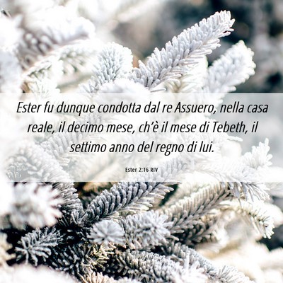 Picture 06 - Ester 2:16 RIV - Ester fu dunque condotta dal re Assuero, nella - Bible Verse Picture
