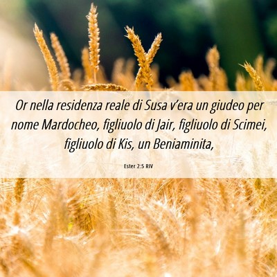 Picture 06 - Ester 2:5 RIV - Or nella residenza reale di Susa v’era un - Bible Verse Picture