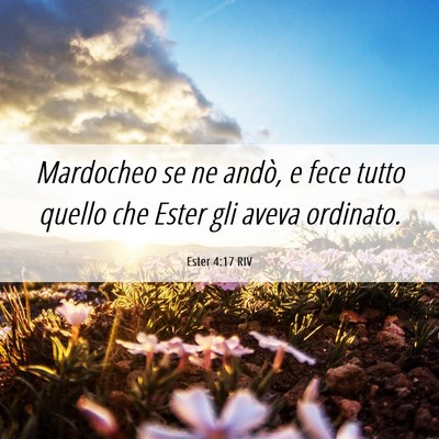 Picture 06 - Ester 4:17 RIV - Mardocheo se ne andò, e fece tutto quello che - Bible Verse Picture