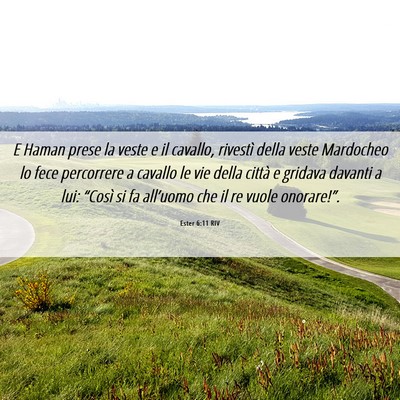 Picture 06 - Ester 6:11 RIV - E Haman prese la veste e il cavallo, rivestì - Bible Verse Picture