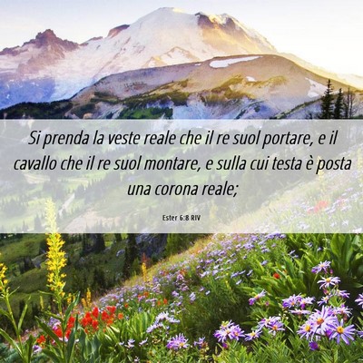 Picture 06 - Ester 6:8 RIV - Si prenda la veste reale che il re suol portare, - Bible Verse Picture