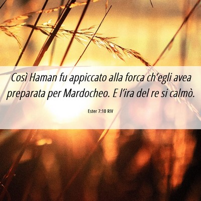Picture 06 - Ester 7:10 RIV - Così Haman fu appiccato alla forca ch’egli - Bible Verse Picture