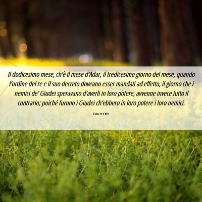 Picture 06 - Ester 9:1 RIV - Il dodicesimo mese, ch’è il mese d’Adar, il - Bible Verse Picture