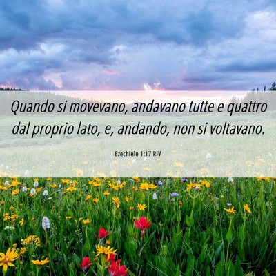 Picture 06 - Ezechiele 1:17 RIV - Quando si movevano, andavano tutte e quattro dal - Bible Verse Picture