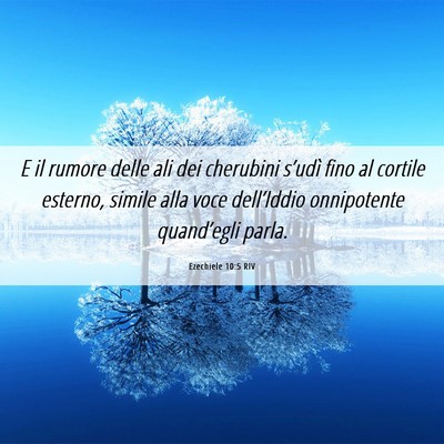 Picture 06 - Ezechiele 10:5 RIV - E il rumore delle ali dei cherubini s’udì fino - Bible Verse Picture