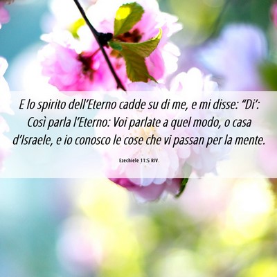 Picture 06 - Ezechiele 11:5 RIV - E lo spirito dell’Eterno cadde su di me, e mi - Bible Verse Picture