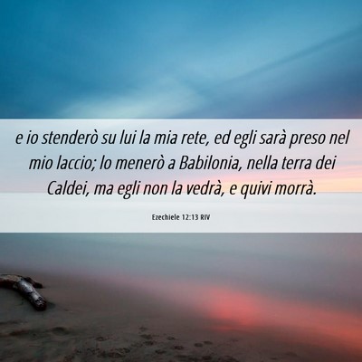 Picture 06 - Ezechiele 12:13 RIV - e io stenderò su lui la mia rete, ed egli sarà - Bible Verse Picture