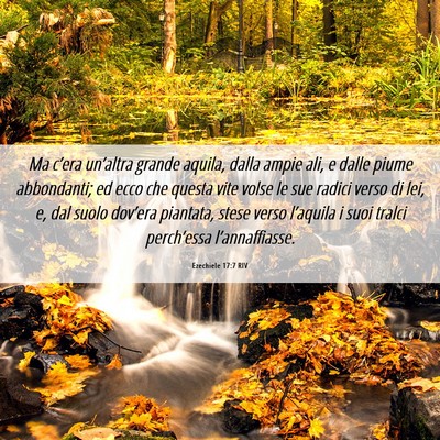 Picture 06 - Ezechiele 17:7 RIV - Ma c’era un’altra grande aquila, dalla ampie - Bible Verse Picture