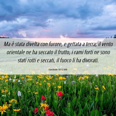 Picture 06 - Ezechiele 19:12 RIV - Ma è stata divelta con furore, e gettata a - Bible Verse Picture