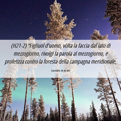 Picture 06 - Ezechiele 20:46 RIV - (H21-2) “Figliuol d’uomo, vòlta la faccia - Bible Verse Picture