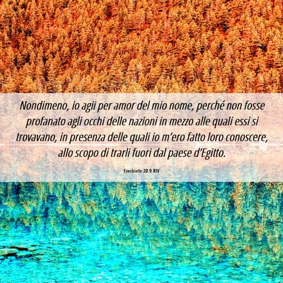 Picture 06 - Ezechiele 20:9 RIV - Nondimeno, io agii per amor del mio nome, perché - Bible Verse Picture