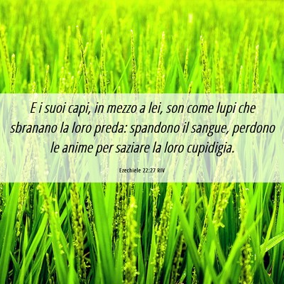 Picture 06 - Ezechiele 22:27 RIV - E i suoi capi, in mezzo a lei, son come lupi che - Bible Verse Picture