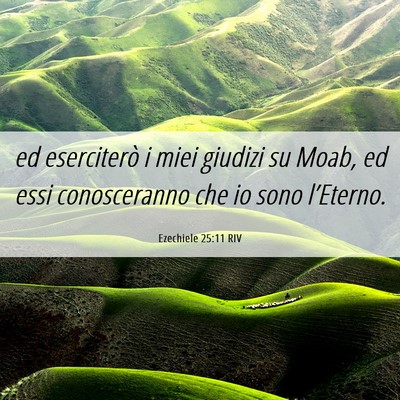 Picture 06 - Ezechiele 25:11 RIV - ed eserciterò i miei giudizi su Moab, ed essi - Bible Verse Picture