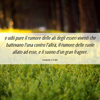Picture 06 - Ezechiele 3:13 RIV - e udii pure il rumore delle ali degli esseri - Bible Verse Picture