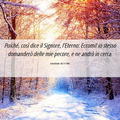 Picture 06 - Ezechiele 34:11 RIV - Poiché, così dice il Signore, l’Eterno: - Bible Verse Picture