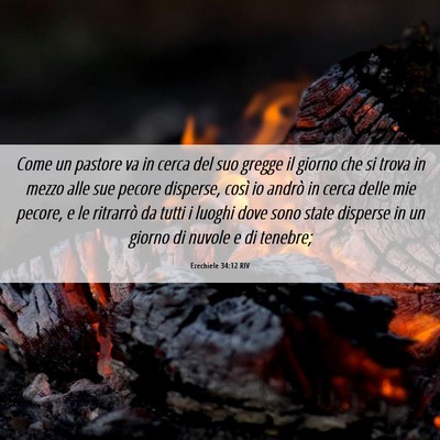 Picture 06 - Ezechiele 34:12 RIV - Come un pastore va in cerca del suo gregge il - Bible Verse Picture