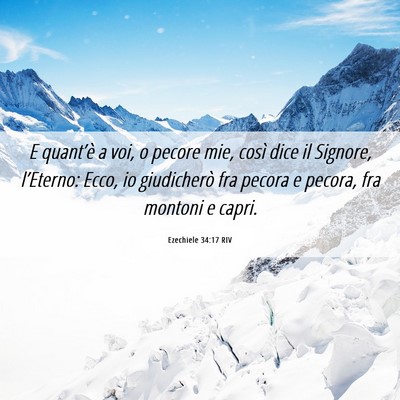 Picture 06 - Ezechiele 34:17 RIV - E quant’è a voi, o pecore mie, così dice il - Bible Verse Picture