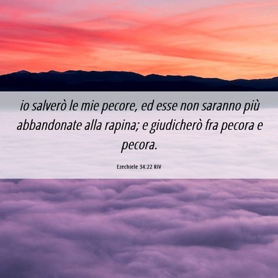 Picture 06 - Ezechiele 34:22 RIV - io salverò le mie pecore, ed esse non saranno - Bible Verse Picture