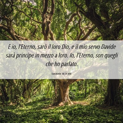 Picture 06 - Ezechiele 34:24 RIV - E io, l’Eterno, sarò il loro Dio, e il mio - Bible Verse Picture
