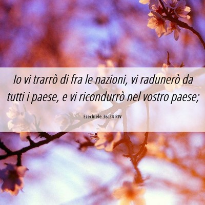 Picture 06 - Ezechiele 36:24 RIV - Io vi trarrò di fra le nazioni, vi radunerò da - Bible Verse Picture