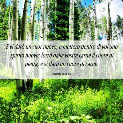 Picture 06 - Ezechiele 36:26 RIV - E vi darò un cuor nuovo, e metterò dentro di - Bible Verse Picture