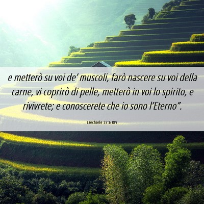 Picture 06 - Ezechiele 37:6 RIV - e metterò su voi de’ muscoli, farò nascere su - Bible Verse Picture