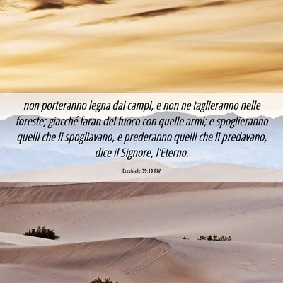 Picture 06 - Ezechiele 39:10 RIV - non porteranno legna dai campi, e non ne - Bible Verse Picture