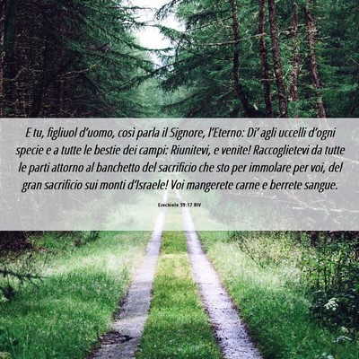Picture 06 - Ezechiele 39:17 RIV - E tu, figliuol d’uomo, così parla il Signore, - Bible Verse Picture
