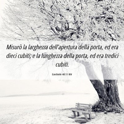 Picture 06 - Ezechiele 40:11 RIV - Misurò la larghezza dell’apertura della porta, - Bible Verse Picture