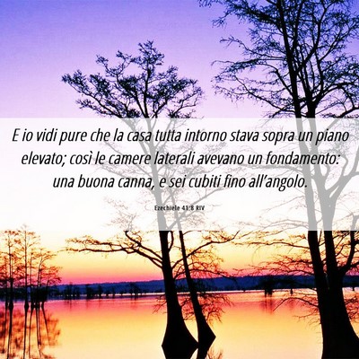 Picture 06 - Ezechiele 41:8 RIV - E io vidi pure che la casa tutta intorno stava - Bible Verse Picture