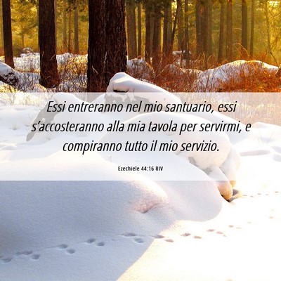 Picture 06 - Ezechiele 44:16 RIV - Essi entreranno nel mio santuario, essi - Bible Verse Picture