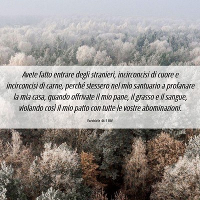 Picture 06 - Ezechiele 44:7 RIV - Avete fatto entrare degli stranieri, incirconcisi - Bible Verse Picture
