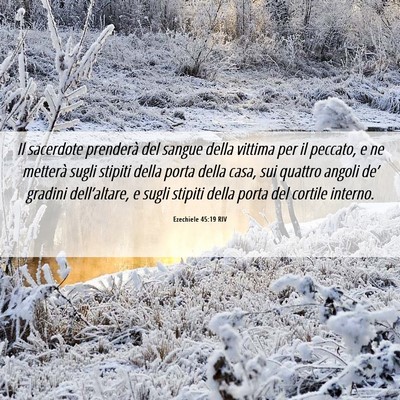 Picture 06 - Ezechiele 45:19 RIV - Il sacerdote prenderà del sangue della vittima - Bible Verse Picture