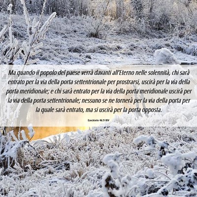 Picture 06 - Ezechiele 46:9 RIV - Ma quando il popolo del paese verrà davanti - Bible Verse Picture