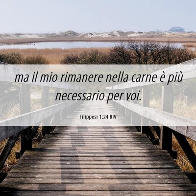 Picture 06 - Filippesi 1:24 RIV - ma il mio rimanere nella carne è più necessario - Bible Verse Picture